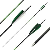 BSW Bogenpfeile Carbon-Schaft 6er-Pack