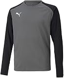 Puma Herren Teampacer Gk JERS Langarmshirt