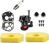 Hippotech Vergasersatz Ersatz für Briggs 498809 498809A 795469 794147 699660 794161…