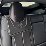 Prince Lionheart Tesla Car Seat Protector