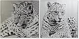 DKD Home Decor Bild