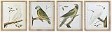 DKD Home Decor Bild