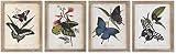 DKD Home Decor Bild