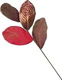 VEA s.r.l. (ILM) Stiel Mittel Blätter Magnolia Ross 58 cm