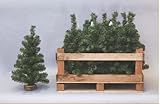 Euronatale Baum PVC grün 60 cm CEN-86423