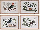 DKD Home Decor Rahmen