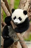 Agenda Scolaire Panda 2023 2024