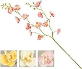 VEA SRL Stiel P. Orchidee Easy 86cm NIC55451