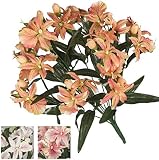 VEA SRL Blumenstrauß M. Orchidee 46 cm CRIS55259