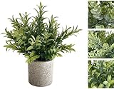 VEA SRL Pflanze M. Green 22cm LAO58716