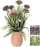 VEA SRL Pflanze Gr. Classic 11 x 44 cm LAO5559