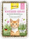 GimCat Katzengras 150g