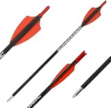 X-BOW Carbon-Bolzen, 10er Set, 10,5 Zoll