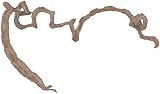 Lucky Reptile Korkenzieher-Liane dünn