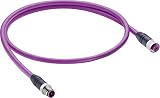 BELDEN 11016-1 Datenverbinder konfektioniert für Sensor oder Stellantrieb M12 Gerader…
