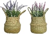 Decoris Everlands Polyethylen-Lavendel