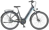 Prophete Geniesser 4.0 E-Bike 170 km Reichweite