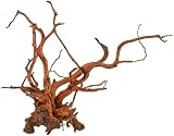 Amtra Legno Red Spider King