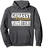 Gehasst, verdammt, vergöttert Pullover Hoodie