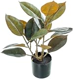 Alexandra House Living Dekorative Pflanze aus Kunststoff