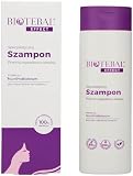 Biotebal Effect Spezialshampoo gegen Haarausfall