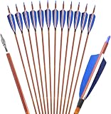 ZSHJGJR Bogenpfeile 31 Zoll Carbon