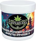 Cannabis-Dünger - FLOWER POWER CANNABIS ERNTE