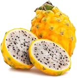 50 Samen Drachenfrucht