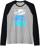 Kitesurfen Silhouette Kitesurfer Kiteboarding Raglan