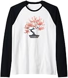 Japanischer Kirschblüten-Bonsai-Baum Raglan