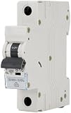 Magnetothermischer Schalter