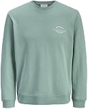 JACK & JONES Jjbrandon Sweat Crew Neck Jnr