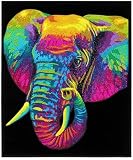 DIAMOND DOTZ 2594369 Original 5D Diamond Painting Set