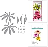 Spellbinders Echinacea