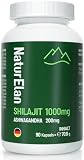 shilajit Kapseln