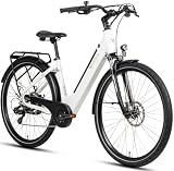 SAXXX Elektrofahrrad mit Sine-Wave-Steuereinheit