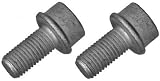 QUICK BRAKE 11631K 2x Bremssattelschraube Hinten Kompatibel mit VW PASSAT Variant 3B6