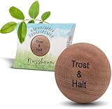 Baumstark Trostspender Nussbaum „Trost & Halt“