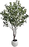 Künstliche Pflanze Geldbaum aus Acryl