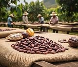 Kakaobohnen Hacienda Victoria 100g