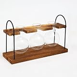 HOBBIESAY Holz Basis Glas Vase Pflanzen Terrarium mit Holz Ständer 9.84x3.54x5.91 Zoll…